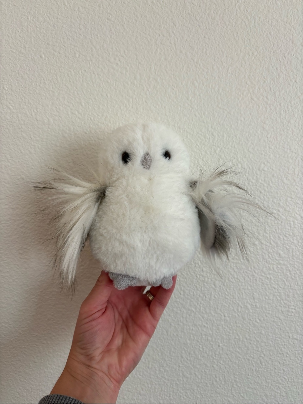 Douglas mini owl